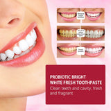 Yayashi SP4 Probiotic Toothpaste 120g